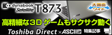 ׂ3DQ[TNTNudynabook Satellite T873viASCII.jpj